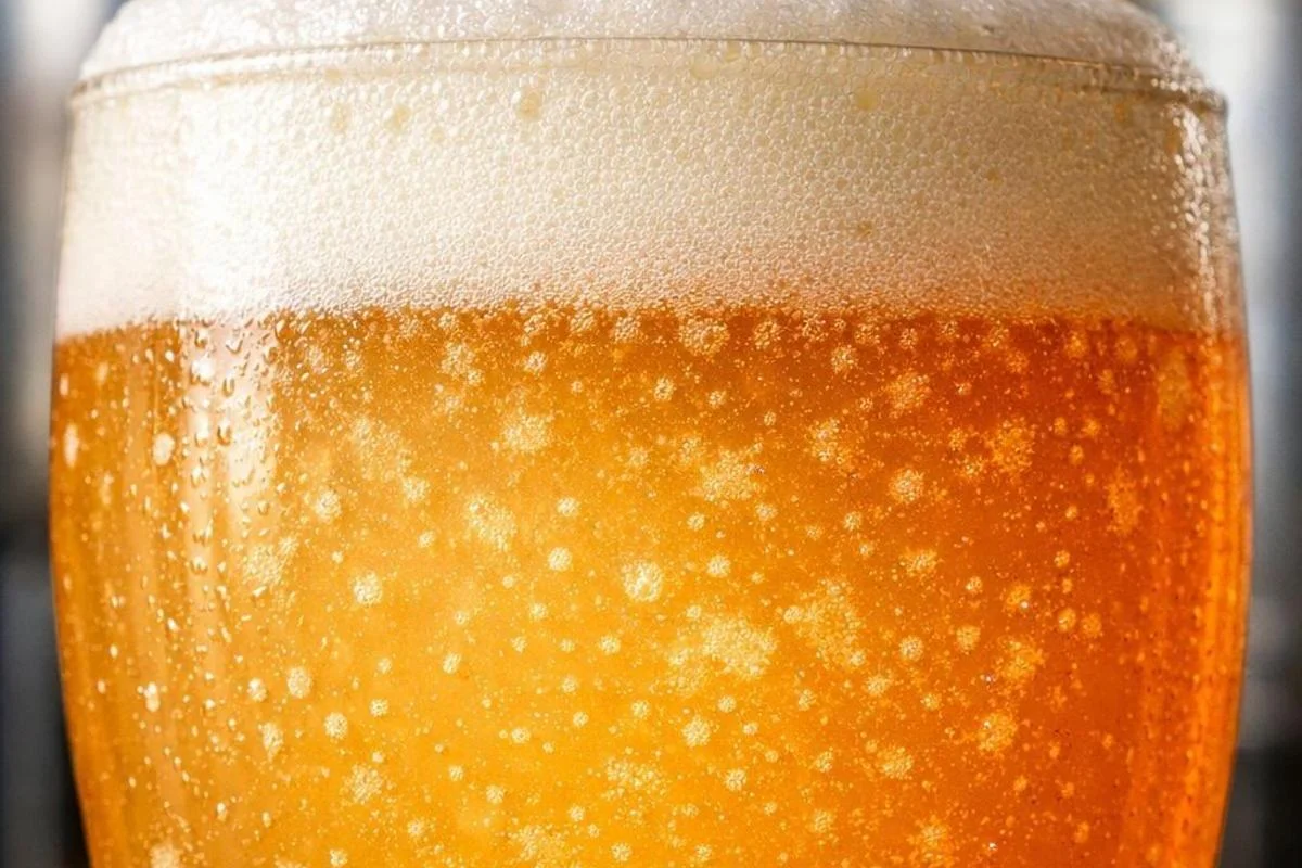 Por que algumas cervejas são turvas? Entenda as causas e estilos